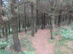 DSCF1181_800x600.jpg