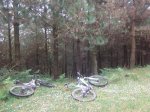 DSCF1184_800x600.jpg