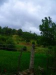 Foto8.JPG