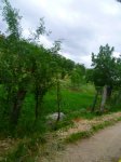 Foto9.JPG
