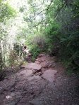 20120610_113413.jpg