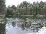 CIMG6071 (Large) (Medium).JPG