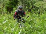 P1100952 (Copiar).JPG