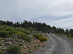 P1050149.jpg