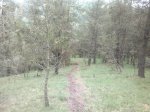 100620122290.jpg