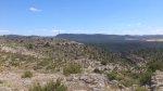 DSC_0419.jpg
