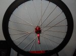 SDC11570.JPG