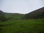 P1090763_800x600.jpg