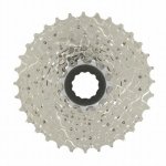 zoom_asset_20311795.jpg