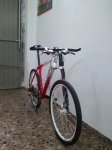 mtb5.jpg