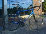 ORBEA LOBULAR.jpg