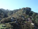 DSC05441.JPG
