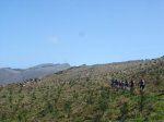 DSC05484.JPG