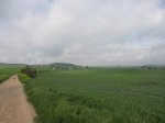 IMG_0741.JPG