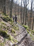lieser_trail_eifel.JPG