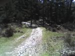 rodri 009.jpg