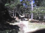 rodri 010.jpg