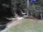 rodri 011.jpg