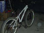 bici spank.JPG