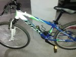 bici1.jpg