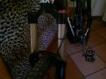 10062012199.jpg