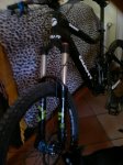10062012205.jpg