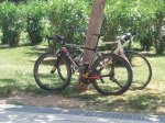 IMG-20120601-WA0000.jpg