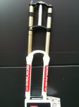 boxxer w.c 2009.JPG