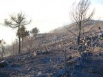 IMG_9309.JPG