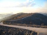 IMG_9320.JPG