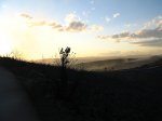 IMG_9329.JPG
