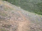 IMG_0272.JPG