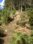 IMG_0282.JPG