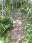 IMG_0283.JPG