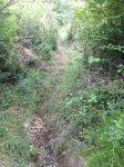 IMG_0288.JPG