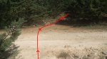 18_cruce pista_18.jpg