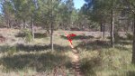 19_pista buenache_19.jpg