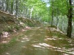 P1030421 (Copiar).JPG