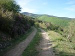 P1030422 (Copiar).JPG