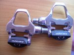 DSCN0488.JPG