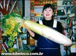 Ac&#225;-ten&#233;s-un-nabo-NABO.jpg