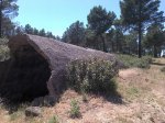 2012-06-13_16-33-47_44.jpg