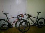 bicis.jpg