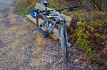 bike2.jpg