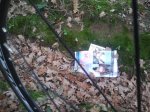 2011-12-01122339.jpg