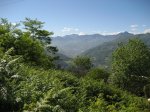 IMG_3650.JPG