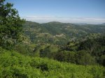 IMG_3657.JPG