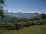 IMG_3662.JPG