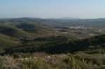 IMAG0009.jpg