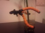 CameraZOOM-20120615231154159.jpg